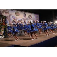 Prunksitzung_2020_0387 - Kopie.jpg